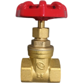 ORTIZ GATE VALVE 1/2