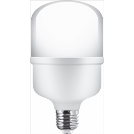 LARS LED LAMP T80 20W E27